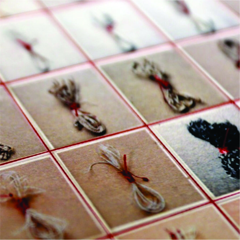 Aurelia_Cerulei_LarbreeAfils_detail22